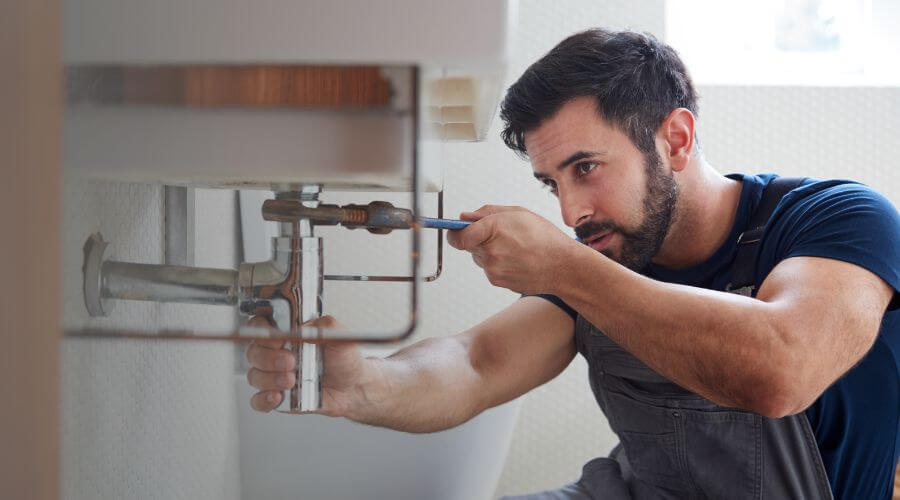 Trap Repair/Replacement in Paullina, IA